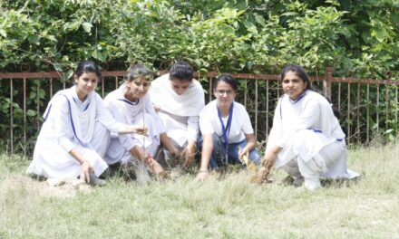 <strong>World Forestry Day</strong>