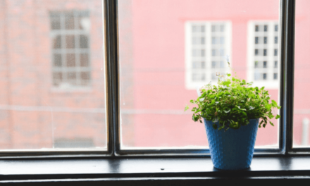 Greenery reduces employee mistakes by 43%: Report