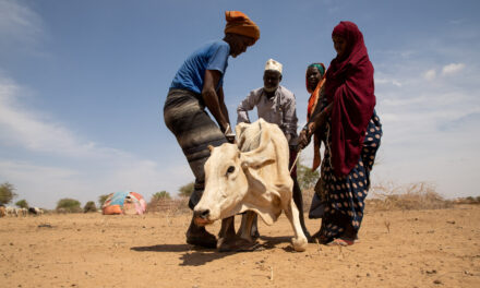 Ukraine conflict and climate change driving global food insecurity