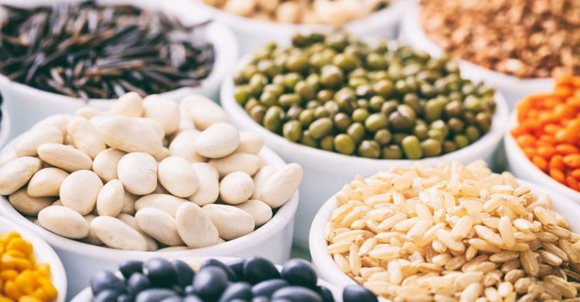 Planning to give up zinc? Check out these supreme plant-based protein options 4