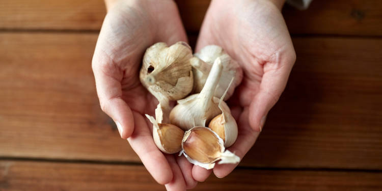 Garlic for Cholesterol – Is Good or bad?