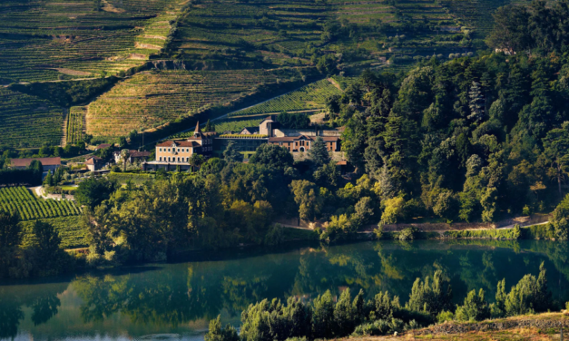 11 Sustainable Hotels You Should Add to Your Travel Bucket List