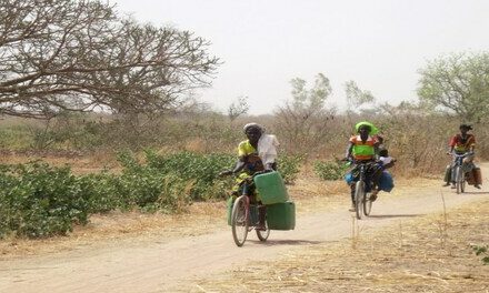 Being Agrarian: El Nino impact—here’s how Indian agriculture sector can battle it out