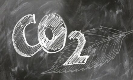 Embracing Sustainable Solutions: Paving the Path to Undoing Environmental Damage!!