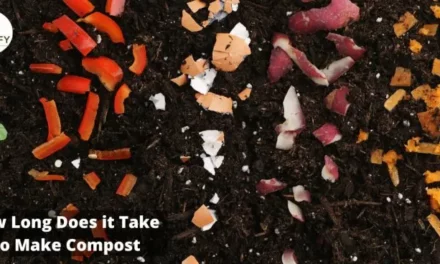 How Long Does it Take to Make Compost