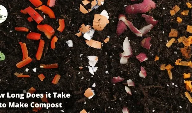 How Long Does it Take to Make Compost