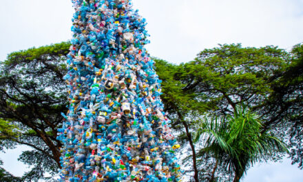 Turning off the Tap: How the world can end plastic pollution and create a circular economy
