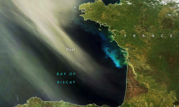 How Desert Dust Nourishes the Growth of Phytoplankton at Sea