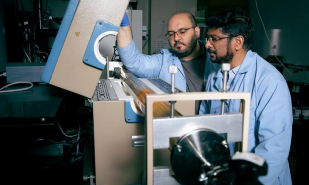 Cactus Plant Inspires Cost-Effective Hydrogen Production