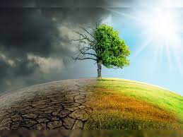 Climate change could reduce life in the ocean’s twilight zone by up to 40%, says new study