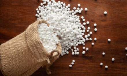 Is Sabudana Good for Weight Loss? Decoding the Dilemma