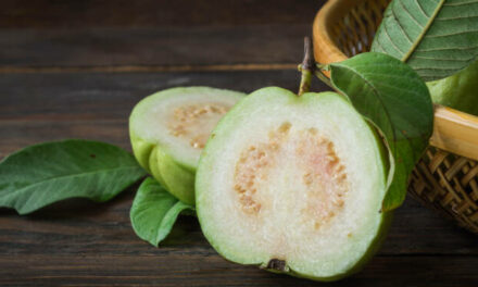 Is Guava Good for Weight Loss? Here’s What Research Say