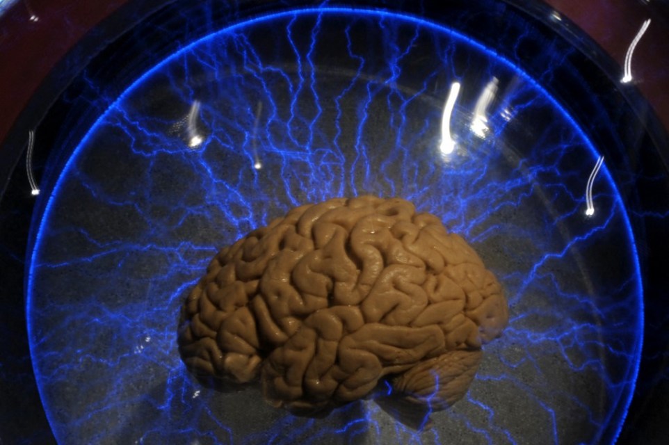 10 science-backed ways to improve brain power for study, work and focus