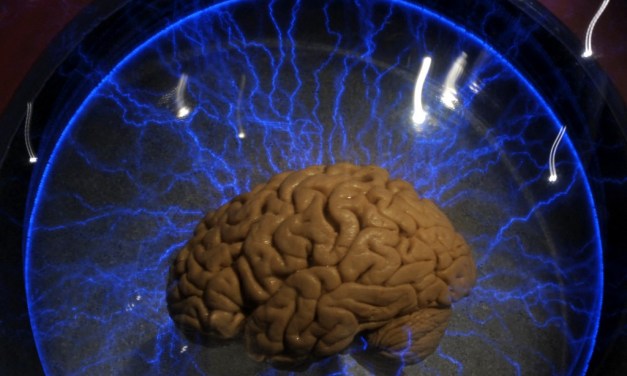 10 science-backed ways to improve brain power for study, work and focus