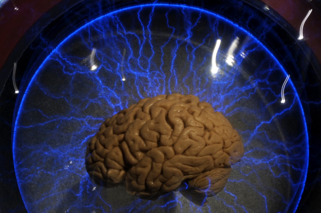 10 science-backed ways to improve brain power for study, work and focus 1