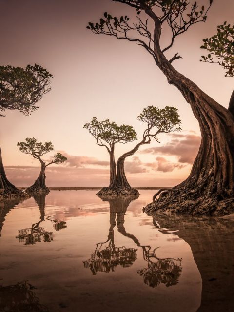 Nature Photography: 20 Winning Images Of The International Photo Awards 2022