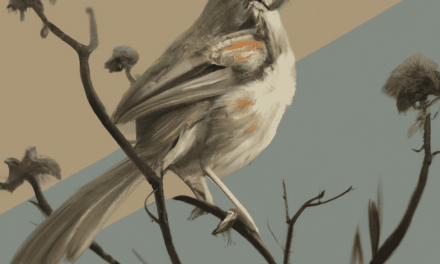 Como Saber Si Un Pájaro Es Macho O Hembra