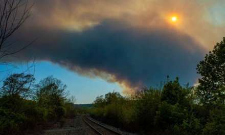 What Canadian wildfires signify for climate, public health