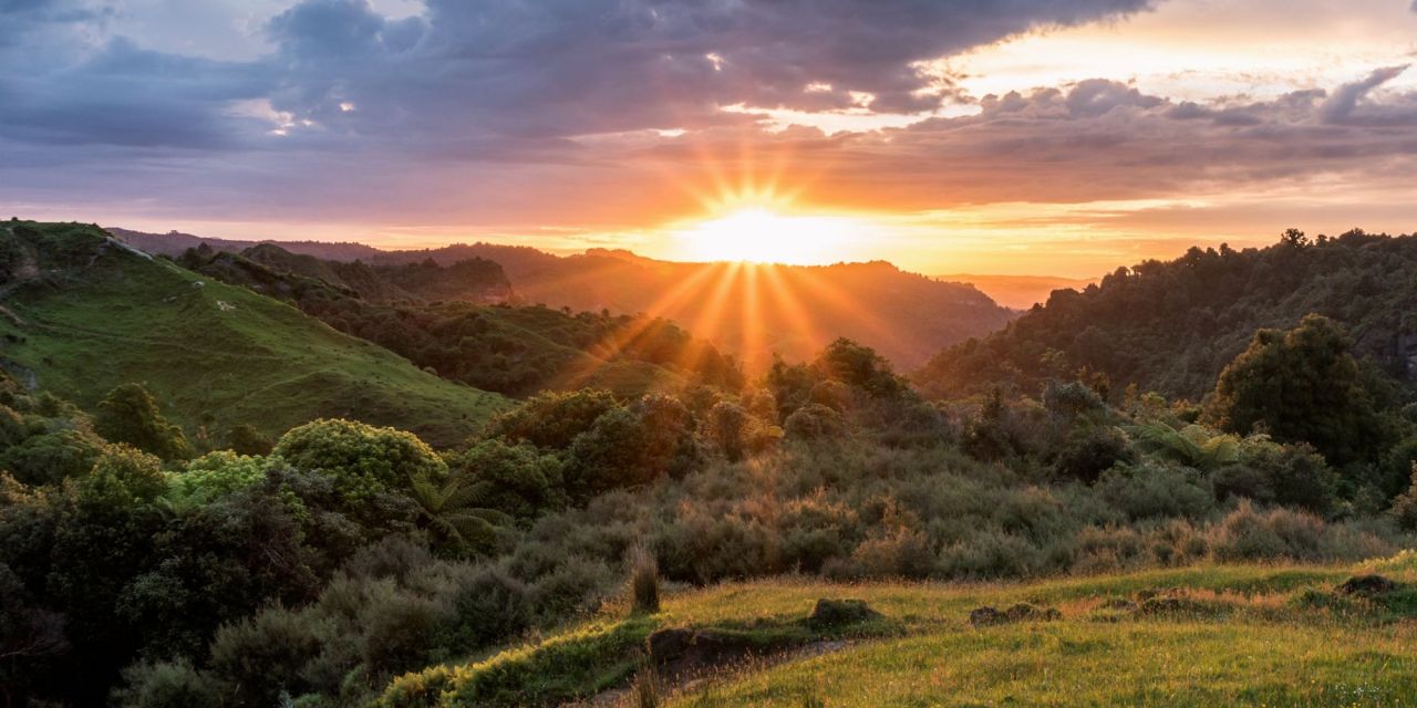 Kotahitanga mō te Taiao Alliance Feature on BBC Earth’s Our Frozen Planet