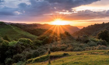 Kotahitanga mō te Taiao Alliance Feature on BBC Earth’s Our Frozen Planet