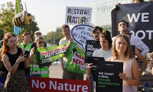 European Union lawmakers back a major plan to protect nature and fight climate change