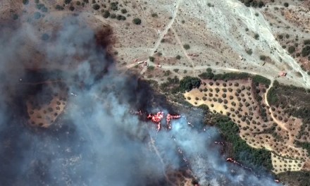 UN chief says Earth in ‘era of global boiling’, calls for radical action