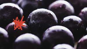 Can consuming grapes daily increase certain gut bacteria?