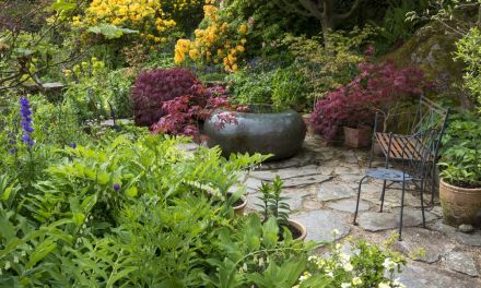 25 Gorgeous Plants That Will Thrive in the Shady Spots of Your Garden