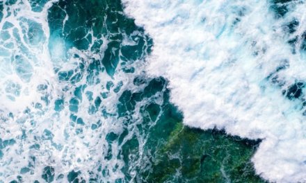 Ocean currents regulating climate globally could collapse mid-century: Study