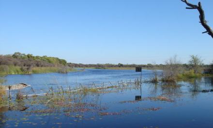 Impact of climate change on agriculture