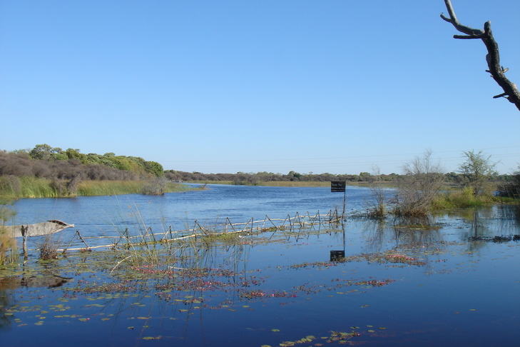 Impact of climate change on agriculture