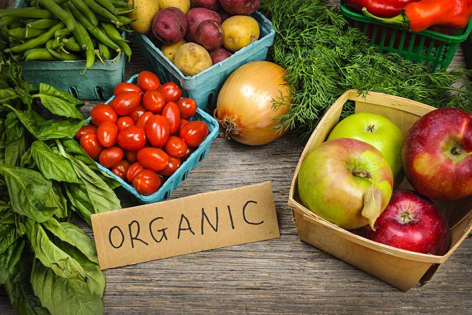 The Benefits of Organic Farming: A Comprehensive Look