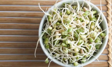 16 Benefits Of Sprouting And The Right Way To Do It