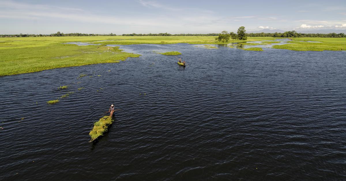 Assamese eco-fiction novels ‘Maajher Char’ and ‘Jalajaah’ reclaim elemental forms of the environment