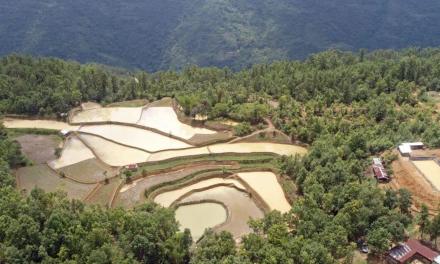 A Naga village’s unique water management system can be a lesson for the rest of India