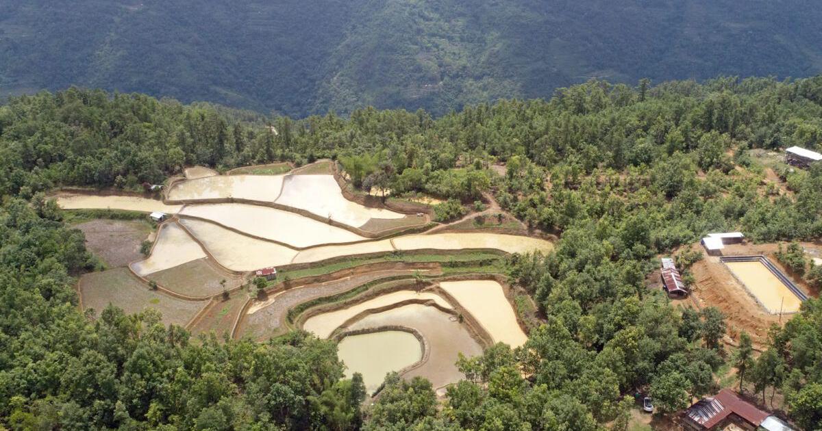 A Naga village’s unique water management system can be a lesson for the rest of India
