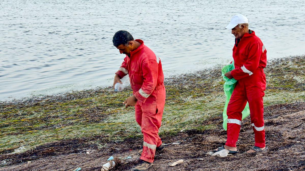 Tunisian brand turns sea plastic into green couture 1
