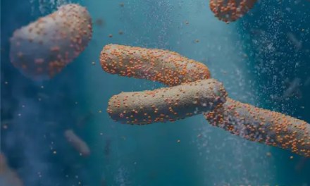 Harnessing Bacteria and Sunlight: A Revolutionary Path to Sustainable Energy