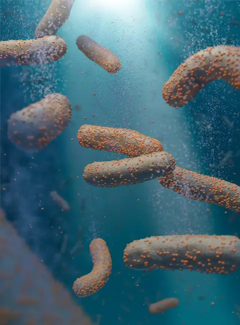 Harnessing Bacteria and Sunlight: A Revolutionary Path to Sustainable Energy 1