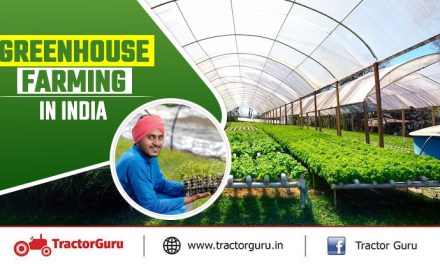 Greenhouse Farming in India – Know Benefits, Importance and Types