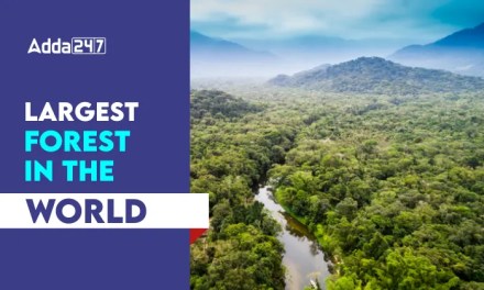 Largest Forest in the World