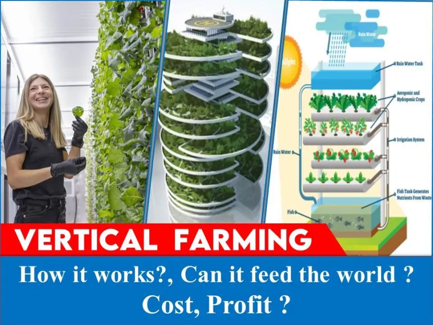 How Vertical Farming works?
