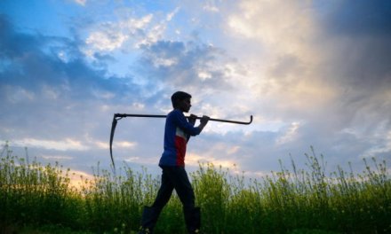 Preserve topsoil for sustainable future