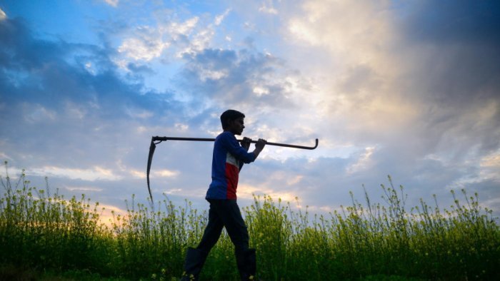 Preserve topsoil for sustainable future