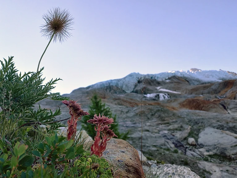 Melting glaciers will reveal vast new ecosystems in need of protection
