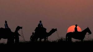 Climate change may turn Thar Desert green by century’s end: Study
