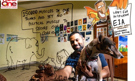 Can graphic novels and cartoons raise awareness about climate change? These artists are leading the way