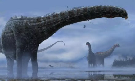 Meet Tharosaurus Indicus: Scientists Unearth World’s Oldest Dicraeosaurus Dinosaur Fossil In Thar Desert!