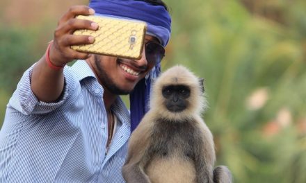 Trampling Plants, Damaging Rock Art, Risking Your Life: Taking Selfies in Nature Has A Cost