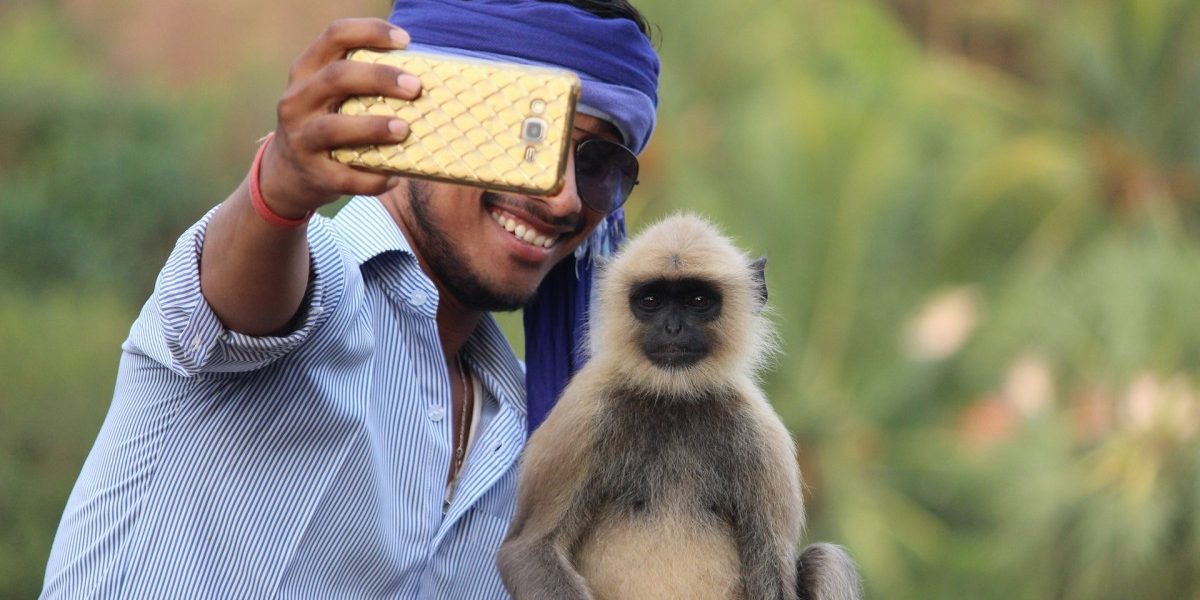 Trampling Plants, Damaging Rock Art, Risking Your Life: Taking Selfies in Nature Has A Cost